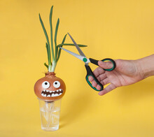 A Hand With Scissors Cuts Off The Green Sprouts From The Onion On Yellow Background. A Scared Little Face. Humor. A Symbol Of Cutting Hair Or Baldness.