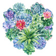 Heart Succulents, tropical plants on isolated white background, watercolor painting.
