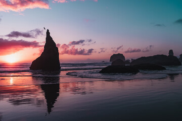 Wall Mural - Silhouette of a bird taking flight from a rock as they reflect on the salty, sandy waters of the beautiful Pacific coast in Bandon Beach, Oregon, United States, during a colorful, vibrant sunset.