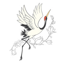 Japanese Crane Bird Isolate On A White Background.