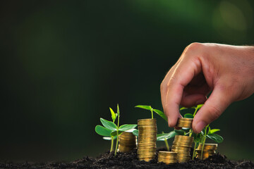 Business man hand save a pile of gold coins with young plants return on investment concept