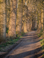 Sticker - German natural countryside