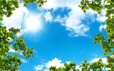 Wall Mural - green trees and a cloudy blue sky