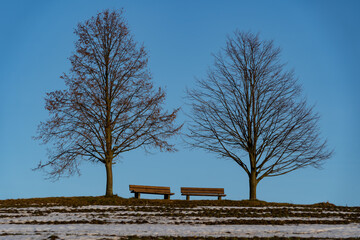 Two trees and two benches at the top of a partially snow covered hill at sunset time with blue sky