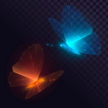 Two Blue And Orange Glowing Butterflies With Circuit Wings 