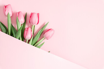Wall Mural - beautiful pink tulips on pastel pink background. concept women's day, march 8. 8th march. flat lay, 