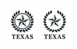 Set of black and white illustrations of a star, laurel wreath, text on a white background. Vector illustration in vintage style for emblem, label, badge. Heraldry of Texas.