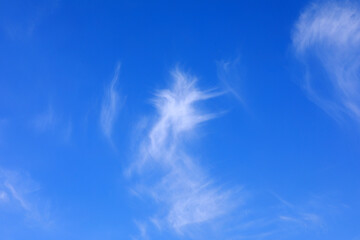 beautiful blue sky and white clouds in summer