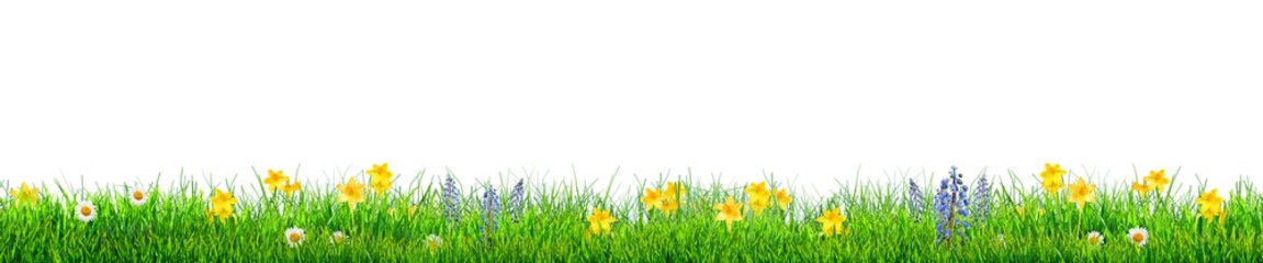 Wall Mural - grass and spring flowers background