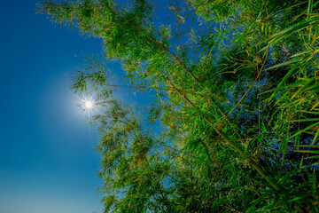 Nature blurred abstract background Of the colorful morning sun, a large lake, can see the scenery all around, cool atmosphere from the wind blowing all the time