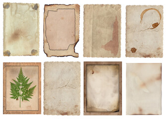 Set of Old various vintage rough paper with scratches, stains and dry plants texture isolated