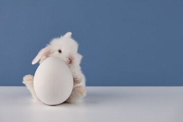 Wall Mural - Baby rabbit with big white Easter egg on blue background, copy space