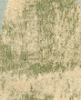texture yellow green paper background