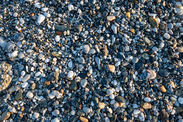  natural background of cobblestones, pebbles and stones of different shapes