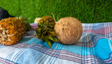 Fototapeta Koty - Organic coconut and pineapple on the beach