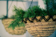 Green pine branches with needles in a straw hanging basket planters over the porch of the house