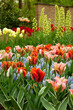 Tulip red and pink flowers in spring, Keukenhof park, Holland, The Netherlands.