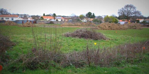 Wall Mural - Défrichage de terrain pour un lotissement de constructions de maisons