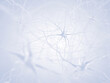 © nobeastsofierce - Human brain nerve cells abstract illustration concept. The neurons are a part of the central nervous system.
