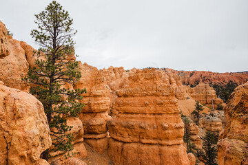 Wall Mural - Sandstone formations in Bryce Canyon National Park, Utah