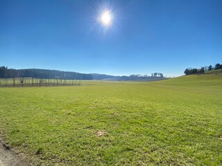 field and blue sky