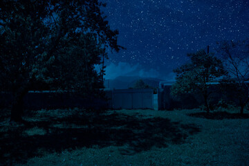Wall Mural - Mystical landscape of Full Moon Rising over tall green meadow with trees at Forest; Skyline Silhouette