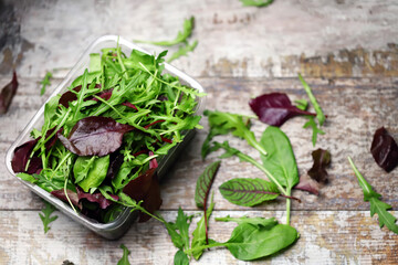 Wall Mural - Mix of salads in a plastic container. Healthy food concept.