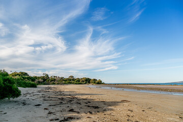 view of a beach