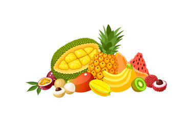 Wall Mural - Design composition of tropical fruits: jackfruit, pineapple, banana, watermelon and many other. Vector illustration flat cartoon icon isolated on white background.