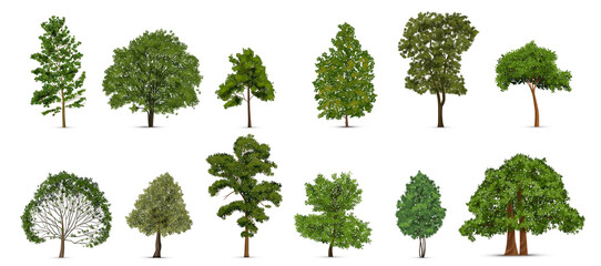 realistic trees icon set