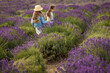 Cute little girls having fun in a lavender field