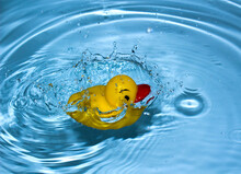 Yellow Rubber Duck In The Water