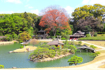 Wall Mural - Decorative pond in Koishikawa Korakuen garden, Okayama, Japan