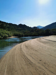 Poster - Vertical shot of a river with soft sand in the background of green trees and clear sky