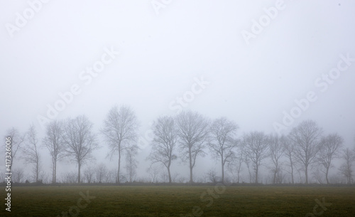 Foggy landscape. Havelte. Misty. Drenthe Netherlands. © A