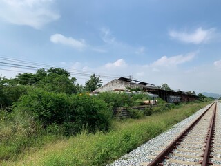 paddy field