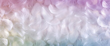 White And Rainbow Coloured Feather Background Banner - Fluffy White Feathers Laid Flat With A Rainbow Coloured Vignette Border Frame Ideal For Spiritual Messages 
