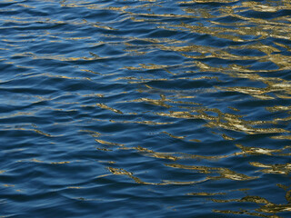 Poster - abstract blue water reflection with wave texture