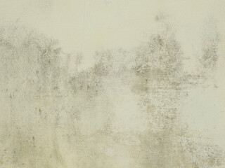 Canvas Print - dirty white cocnrete wall texture background