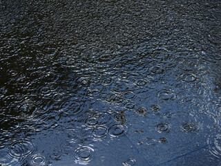 Canvas Print - rain drops on tile floor in street