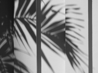 abstract shadow of palm leaf on white wall