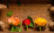 Close Up View Of Three Orange Rose And Red Roses In A Wood Basket. Floral Photography Detail.