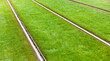 Tram tracks on grass verge.
Straßenbahnschienen auf Grünstreifen. 