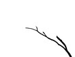 © srckomkrit - dry branch silhouette isolated on white background