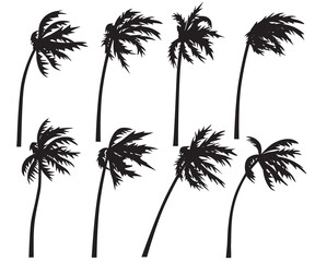 Wall Mural - Tropical Palm Trees Silhouette in Wind Storm