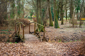 Autumn in the park with wooden bridge and beautiful soft light.