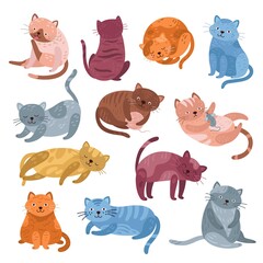 Poster - Adorable cats characters. Cute cat, funny isolated kitten lying playing or relaxation. Animal meow, cartoon fluffy pets exact vector collection. Illustration cartoon meow cat, feline animal pose