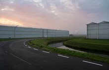 Greenhouses In The Netherlands, Early In The Morning