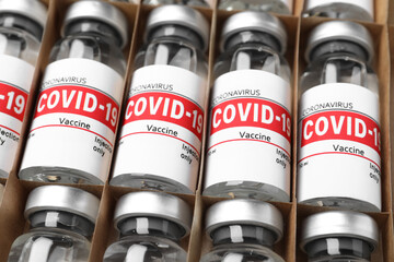 Wall Mural - Glass vials with COVID-19 vaccine in package, closeup