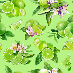 Wall Mural - Watercolor seamless pattern limes on a color background.